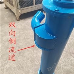 标准1米5.5KW抽粪泵 12米高扬程养殖场抽粪泵应用韩辉