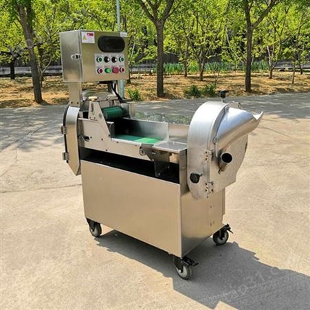 中国台湾801双头切菜机 商用土豆切丝机 黄瓜胡萝卜切片机 酸豆角切段机