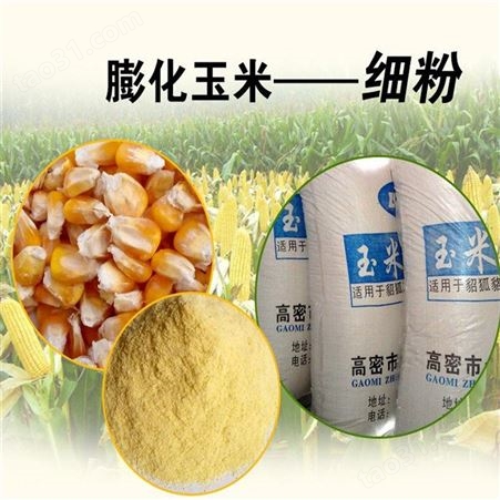 时产1吨以上膨化玉米粉设备 泰诺玉米膨化机