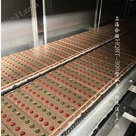 供应软糖生产线 凝胶软糖机器 全自动魔芋胶软糖浇注成型设备 上海合强HQ-RT300型