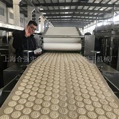 厂家供应全自动棍切（韧性）饼干生产线 HQ-BG250-1200型 上海合强韧性饼干设备供应商