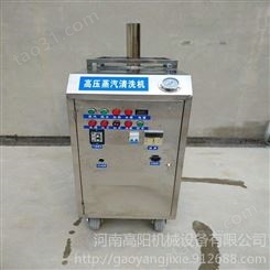 多功能高温高压蒸汽洗车机 燃气型蒸汽洗车机 蒸汽清洁机