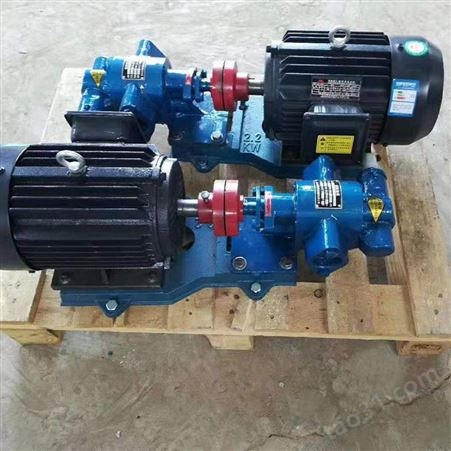 出售 齿轮油泵 齿轮泵 立式齿轮泵 支持定制