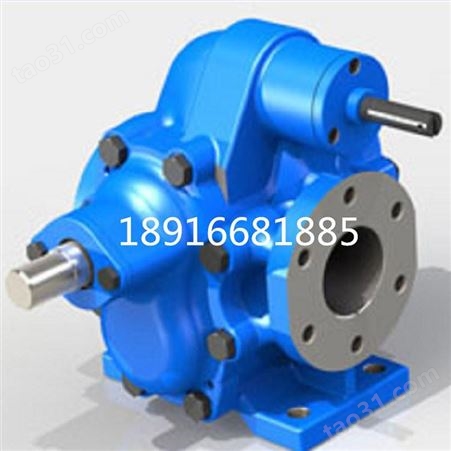 生产出售 KCB不锈钢泵 圆弧齿轮油泵 质量放心 不锈钢齿轮油泵