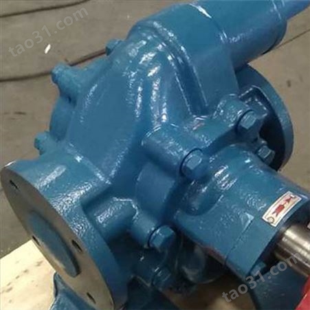加工定制 移动推车齿轮泵 齿轮油泵 不锈钢304齿轮泵 质量放心