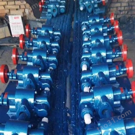 出售 齿轮油泵 齿轮泵 立式齿轮泵 支持定制