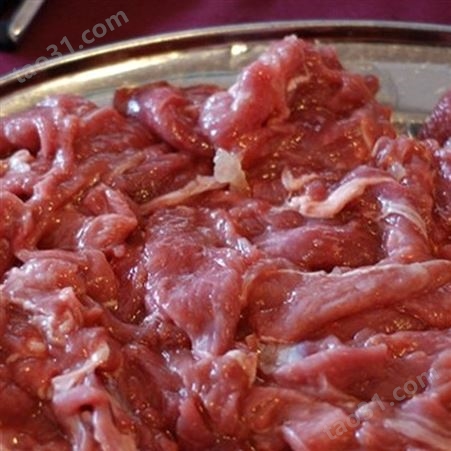 肇庆凤翔商用自动切肉片机 不锈钢切肉机 切鲜猪肉牛肉鱼肉