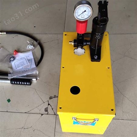 手动管道测压机 暖气管水管检漏仪 小型试压泵