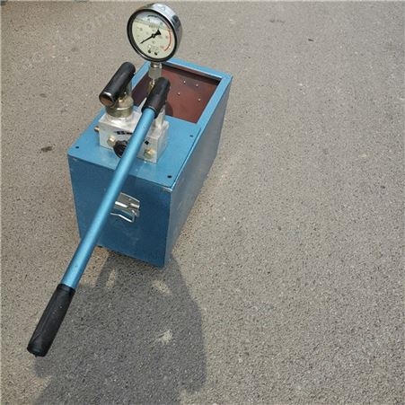 600公斤双缸管路检漏仪 钢瓶阀门水压试验机 试压泵