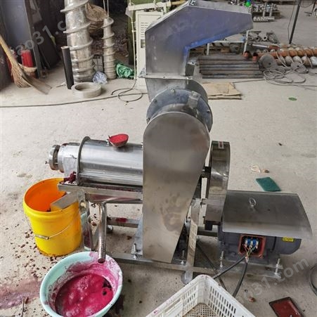 0.5吨荔枝去核打浆机 蓝莓柠檬挤汁机厂家 生姜商用压榨机打泥机