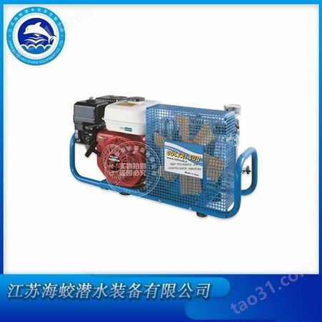 MCH6/EM STANDARD便携式呼吸空气充气泵 100L小型压缩机