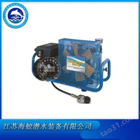 科尔奇MCH6-SH压缩空气充气泵 100L移动式呼吸空气填充泵 汽油驱动