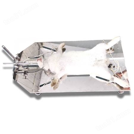 兔子解剖台304镜面不锈钢兔台兔鼠解剖台动物实验