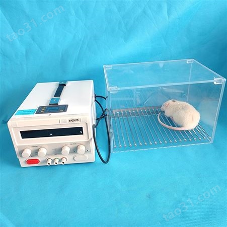 河南智科电刺激仪小动物电刺激实验应急实验习得性无助实验声光电刺激仪