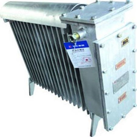 RB2000/127(A)煤矿用隔爆型电热取暖器具有16个暖气片供热