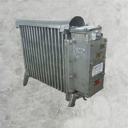 RB2000/127(A)煤矿用隔爆型电热取暖器具有16个暖气片供热