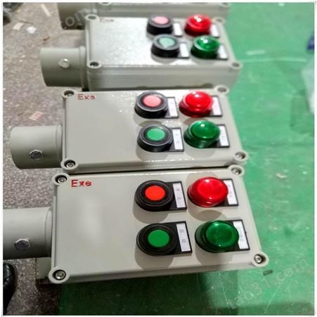 防爆控制箱 LF-5两灯两钮一开关防爆控制箱 各种规格可定做