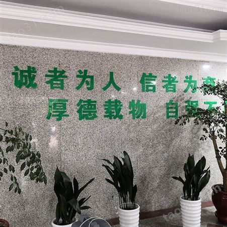 江苏连云港 景观浮雕文化墙 亚克力字背景墙 文化墙定做 辰信
