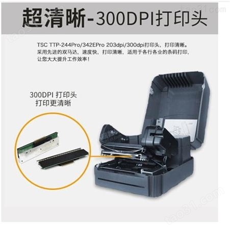 台半TSC条码打印机  342E PRO 300DPI 能效标识打印