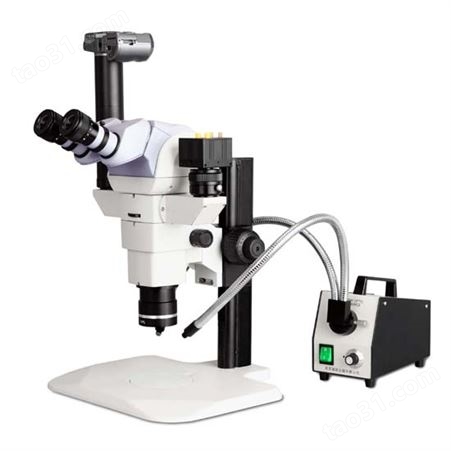 偏光体视显微镜