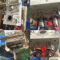 DV300莱宝螺杆泵维修