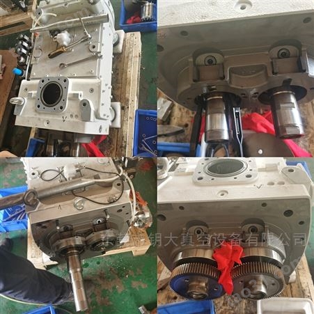 DV300莱宝螺杆泵维修