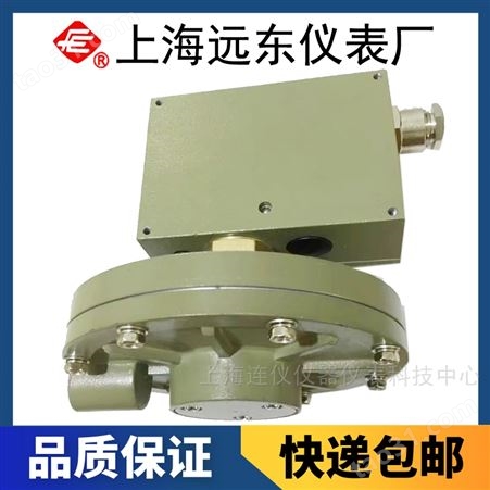 上海远东仪表厂D530/7DD差压控制器0859781防爆型