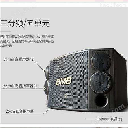 BMB CSN-455 娱乐卡包音箱专业卡拉OK音响家庭KTV音响