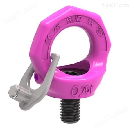RUD（路德） 螺栓型吊环 VRS-F