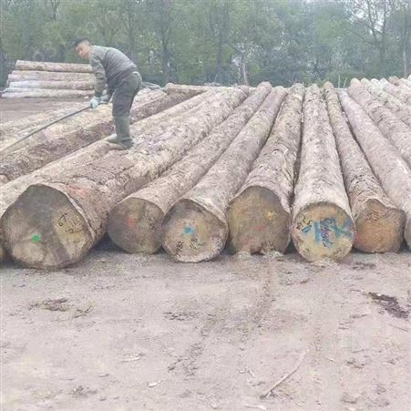 建筑木方价格 12x12白松建筑木方辐射松木方加工厂家定制销售_呈果木业