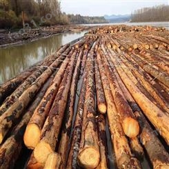 工程木方 呈果木业 批发4x6建筑工程木方价格公道