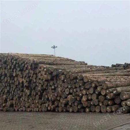建筑用方木价格 建筑工地方木 3x4花旗松木方 呈果木业