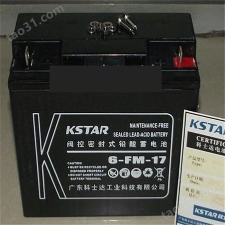 科士达KSTAR蓄电池6-FM-55 12V55AH 阀控式免维护应急电源蓄电池