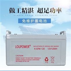 LOUPOWER蓄电池6-GFM-120 莱力蓄电池12V120Ah 环控门禁安防配套