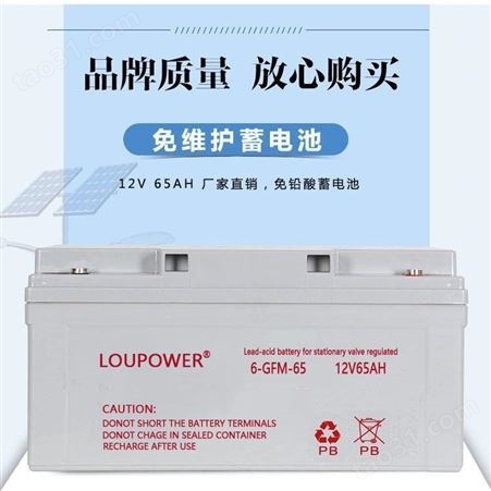 LOUPOWER蓄电池6-GFM-80 莱力蓄电池12V80Ah 环控门禁安防配套