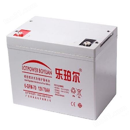 乐珀尔蓄电池6-GFM-120 12V120AH 铅酸储能免维护乐珀尔蓄电池
