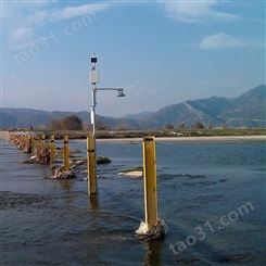 河南远程水位监测系统