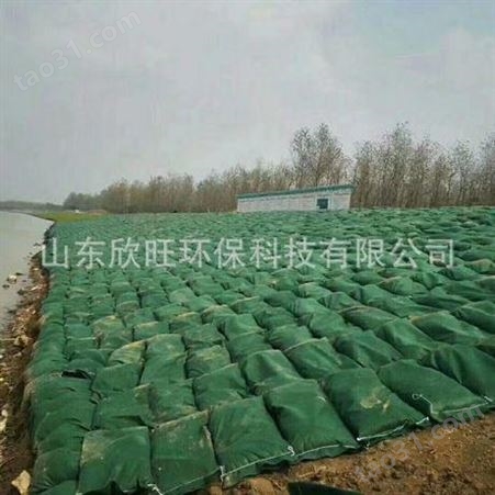 厂家批发绿化生态袋_绿化护坡专用生态袋_绿色土工袋_量大从优