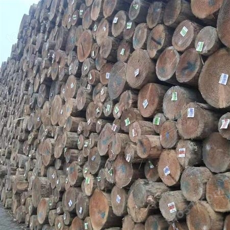 日照工地建筑木方价格 厂家定制自产自销_呈果木业
