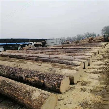 建筑用木方 5x7樟子松建筑用木方加工厂现货供应 呈果木业