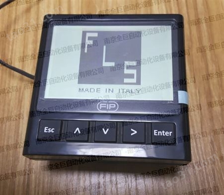意大利FIP在线流量计FLS探头监控变送器表头