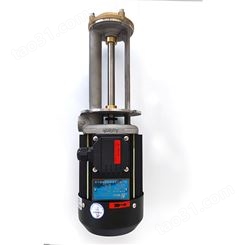 立式高温热水/热油泵
