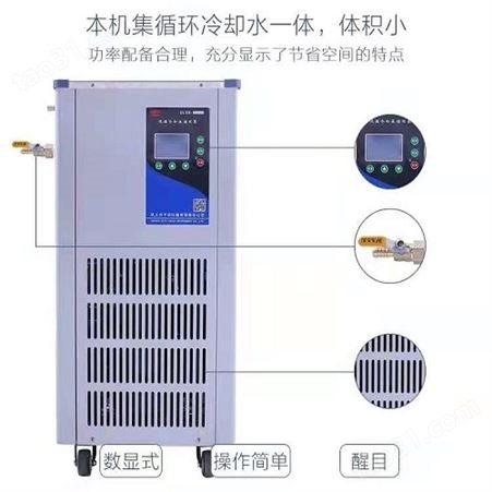 DFY-10/40低温恒温搅拌反应浴槽 低温可达-40°C