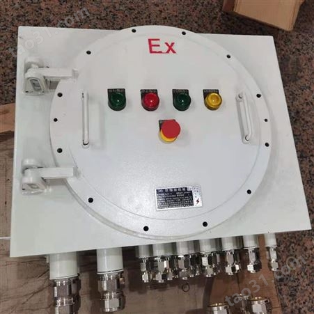 BXD53钢板焊接防爆动力配电箱