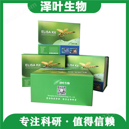 Human （Barkor）ELISA Kit（ZY-E6639H）ELISA试剂盒