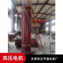 天津市立式1157系列3000V高压潜水电机批量供应