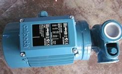 TP100E CALPEDA水泵TM-65E 220V 0.45KW T 65E-R NM 1/AE
